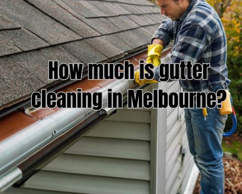 Gutter cleaning in Melbourne