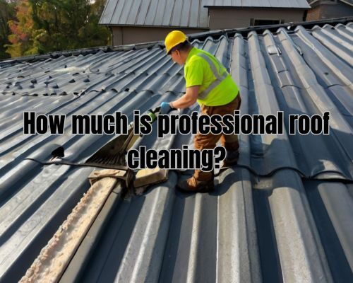 a commercial roof cleaning by a cleaning service