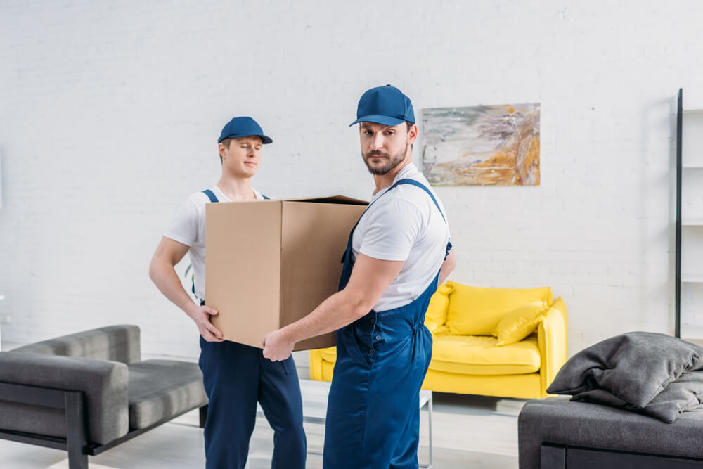 Local Movers Wesley Chapel