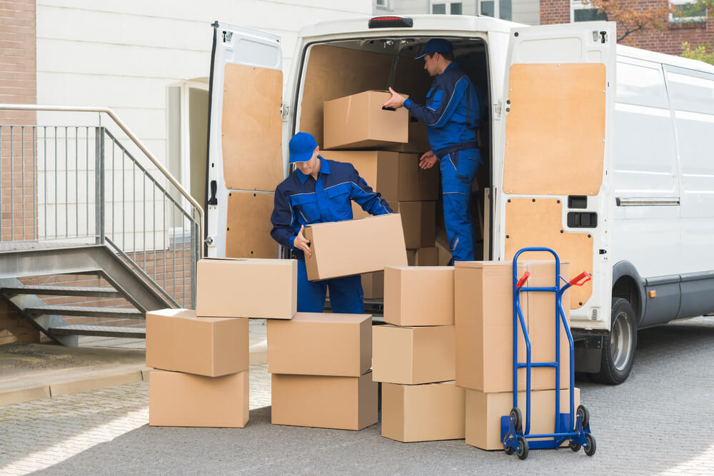Best Movers Near Me Wesley Chapel