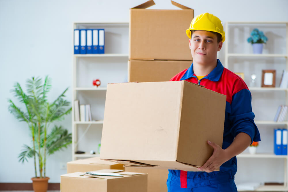 Long Distance Packing Services Vista