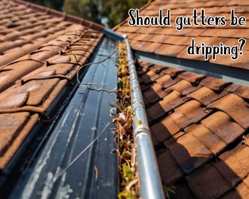 a gutter with stuck leaves causing leakage